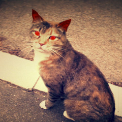 Tomcat by rubyrough - DEVIL EP