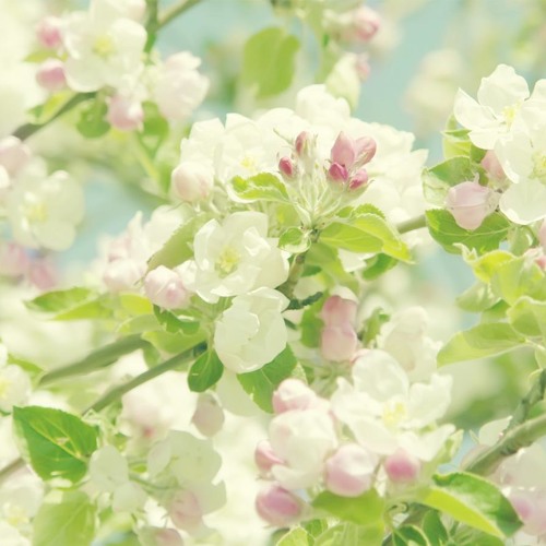 ان تدخلني رب الجنة