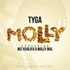 Tyga - Molly feat. Wiz Khalifa & Mally Mal
