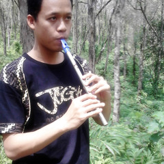 Wedding Waltzes - Ross Ainslie's Tune