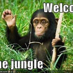 Alvaro & Mercer feat. Lil Jon - Welcome To The Jungle (Gary Bitetto Governors Edit)