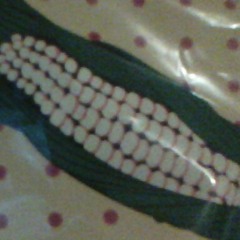 live video recording of me throwing eggs at a wall at Trinty Lutheran Church