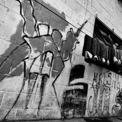 MS Stoners Locotes Rio Zarco Santa Ana