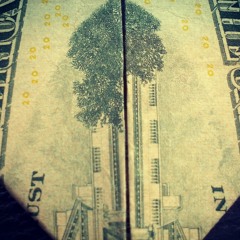 No hidding G Z  at Fusion MMA