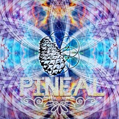 #2 PINEAL