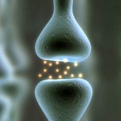 Debogage Des Synapses (Dj Mix 2013)