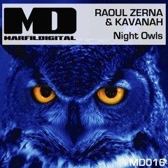 Raoul Zerna & Kavanah - Night Owls (original mix) OUT NOW!!!