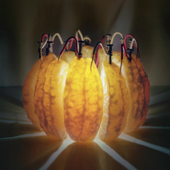 Courage Inside You Mp3.1a