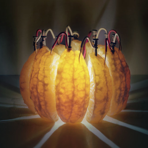 Courage Inside You Mp3.1a