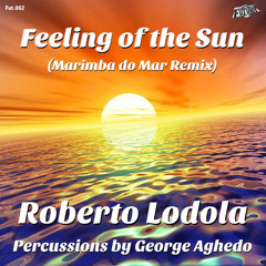 Feeling of the sun (Marimba do mar RMX)-Roberto Lodola (Sample Preview)