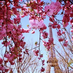 La Vie En Rose (Life in Pink Sample)
