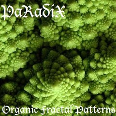 Organic Fractal Patterns