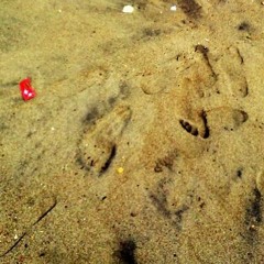 Secondhand Serenade - Vulnerable