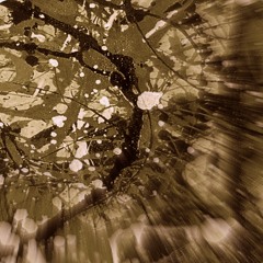 Reckoner (Radiohead Remix)