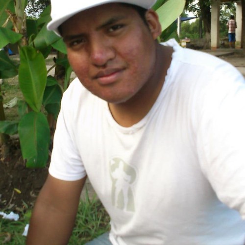 Infiel-wily campero