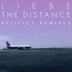 The Distance (Pelifics Radio Remix)