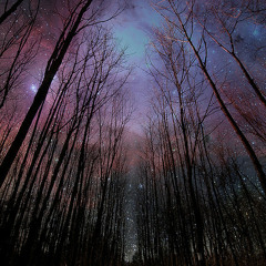 Fade To The Spirit (Instant Universe)