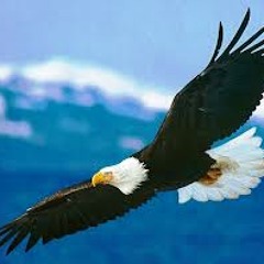 Alexey-Romeo-amp-Jwell-Spread-My-Wings-5tereophone-Dub-Mix