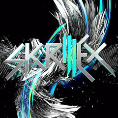 Dubstep And Skrillex
