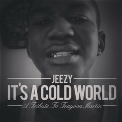 It's A Cold World (Trayvon Martin Tribute)