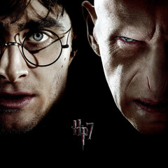 Potter Vs. Voldemort