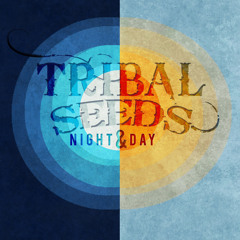 TRIBLE SEED-Night & Day