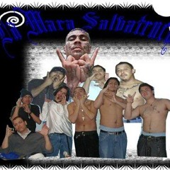 perro traicionero el negro MS13