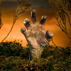 Caner Uslan - Insane In Grave