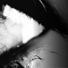 Revert [FREE DOWNLOAD]