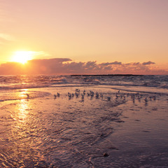 Azhot - Shore Sunset