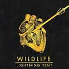 Wildlife - Lightning Tent (Samm Caulin Edit)