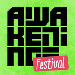 Abstract Division @ Awakenings Festival 2013
