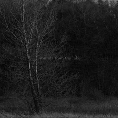 [Mix] sounds from the lake