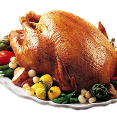 Turkey Gobble Sound Effect