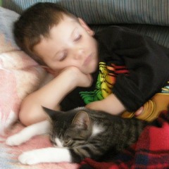 Acoustic wizard- logan