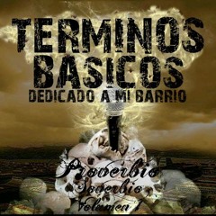 demo - terminos basicos