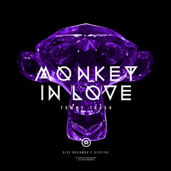 Tommy Trash - Monkey In Love (Played on Pete Tong’s BBC Radio1 show on July 12, 2013)