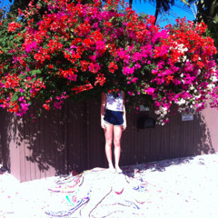 Elf Power - "Sunlight On The Moon"