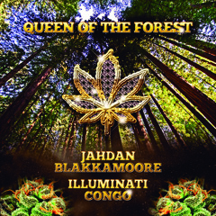 Queen Of The Forest - Jahdan Blakkamoore feat. Illuminati Congo