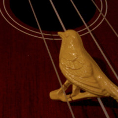 Migratory Bird (Caluu Caley)