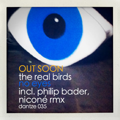 The RealBirds - Chance With Me (Long Mix)- DANTZE