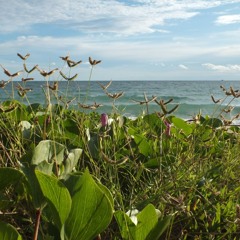 กุ้ง กิตติคุณ เชียรสงค์  - แบกรัก