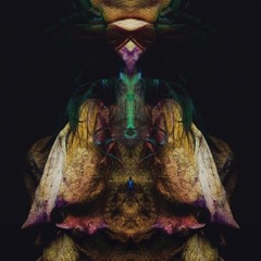 Senses