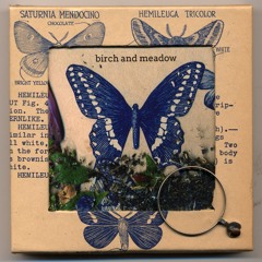 1.Birch And Meadow... "There Is A Lightness"