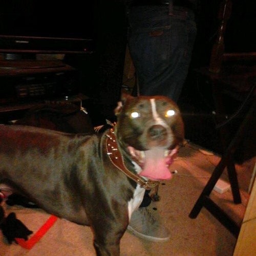 Mylovinsmizzy2 remix