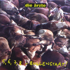 Die Ärzte-Bravopunks