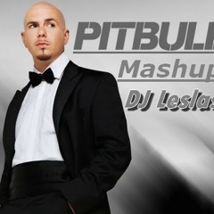 Mini Mashup Pitbull (Tribal Version)