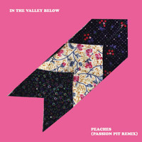 In The Valley Below - Peaches (Passion Pit Remix)