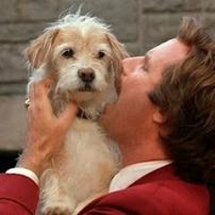 Requim + Triangle   (Zac + Baxter)