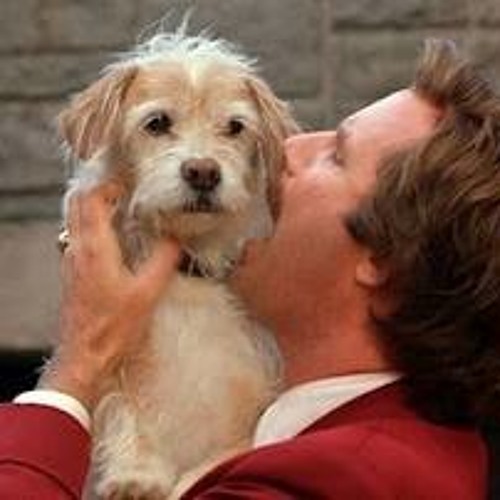 Requim + Triangle   (Zac + Baxter)